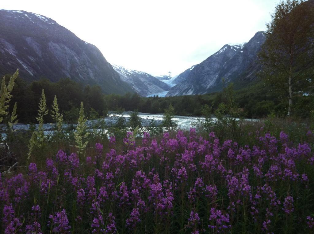 Nigardsbreen Lodge Luster Exterior foto